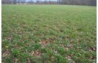 Property photo 25 - 80 Acres & Home - Property Offered in 4 Tracts from 2.3 to 30.0 Acres